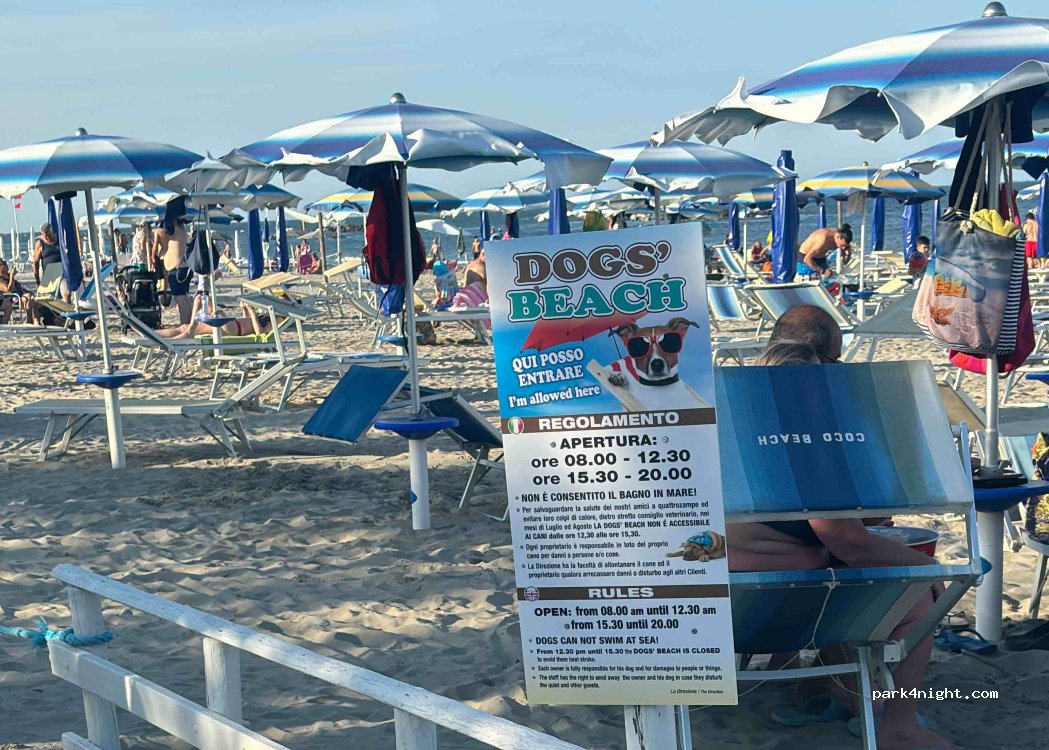 Camping Ancora — foto 4