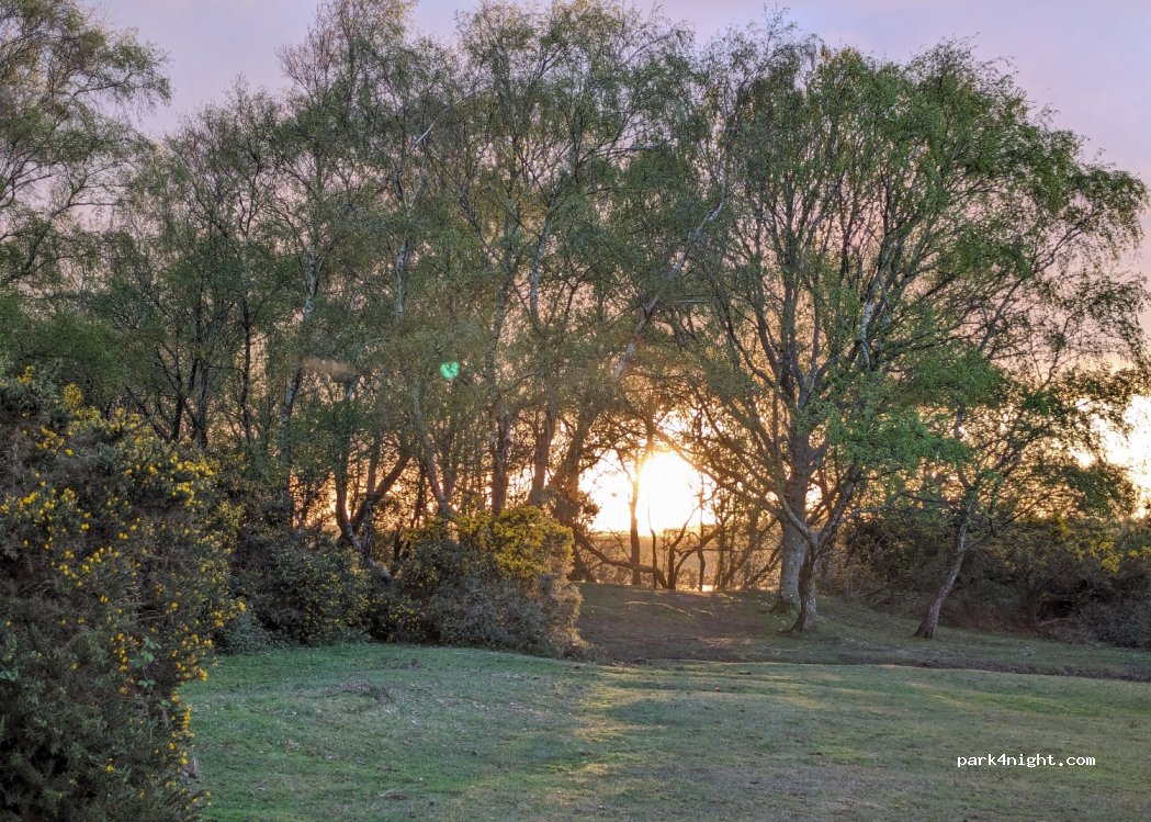 (B3054) East Boldre - Hatchet Ln — foto 2
