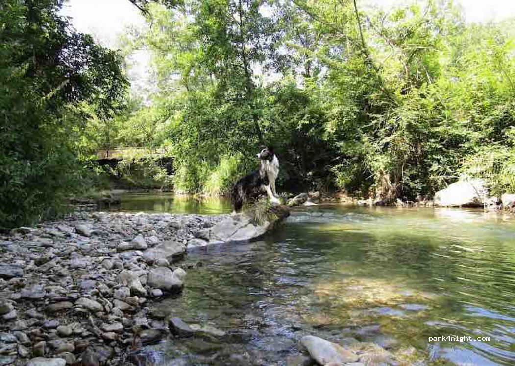 Camping La Vaugelette — foto 3
