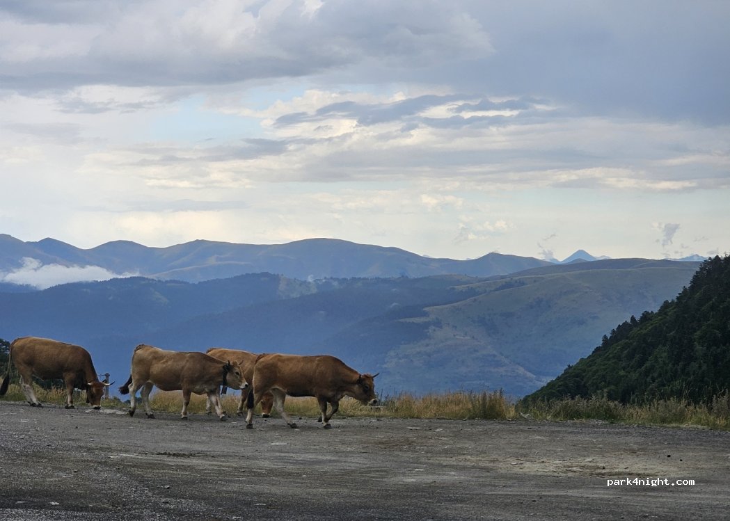 (65170) Saint-Lary-Soulan - Espiaube — foto 4