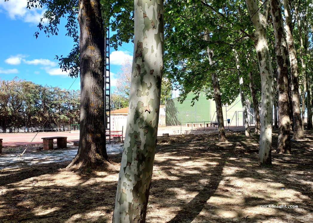 (16215) Almodóvar del Pinar - — foto 4