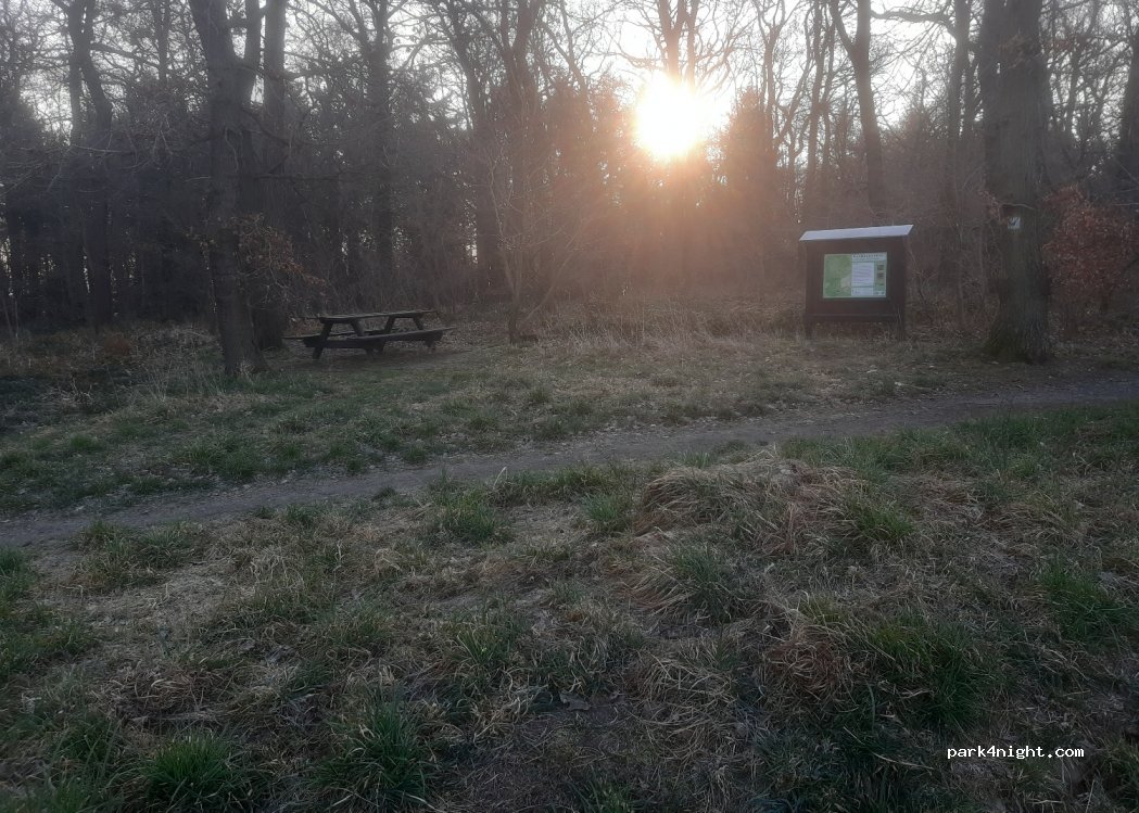 (53424) Remagen - — foto 3