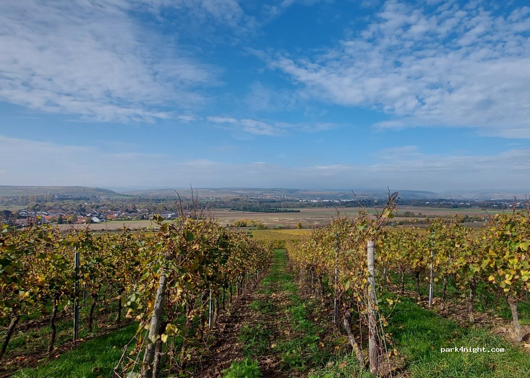 (55545) Biebelsheim - Unnamed Road — foto 4