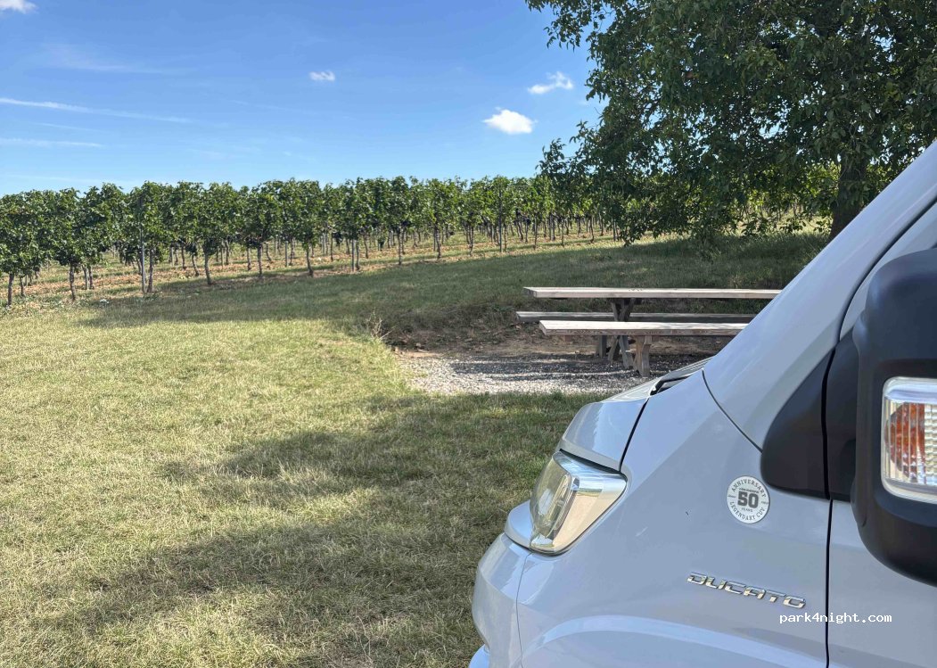 (55545) Biebelsheim - Unnamed Road — foto 5
