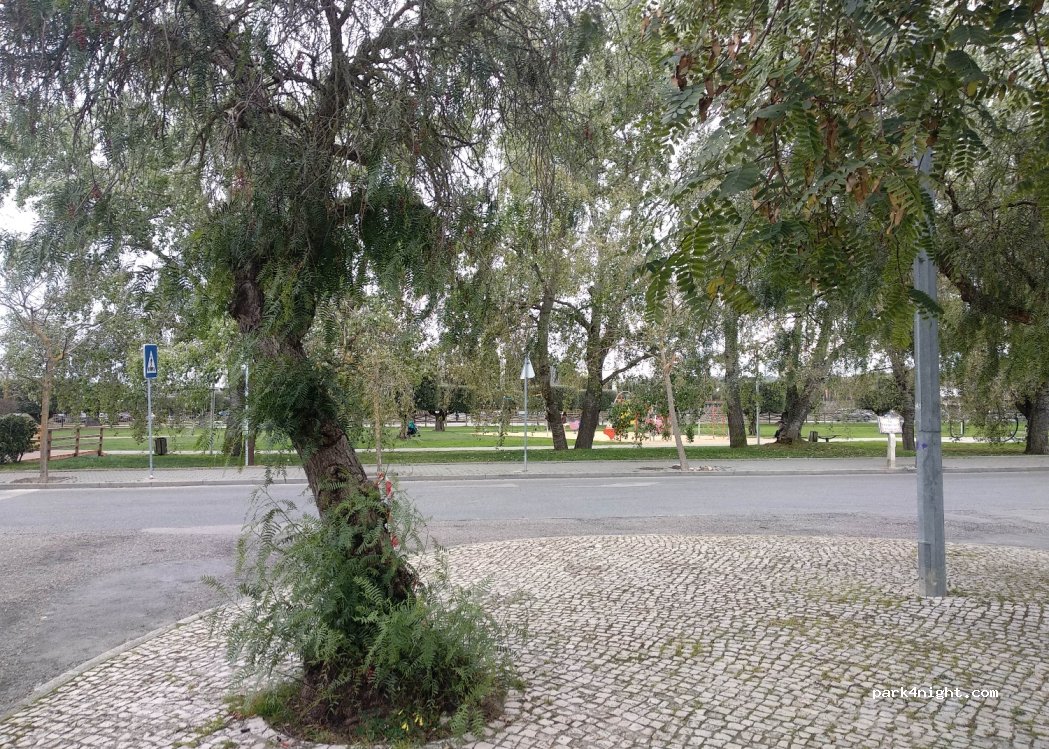 (2925-500) São Lourenço (Vila Nogueira de Azeitão - 1A Rua Patrício Nunes — foto 2
