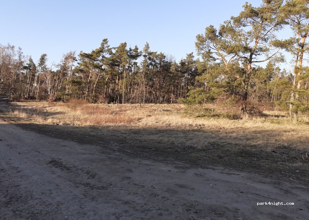 (01619) Zeithain - — foto