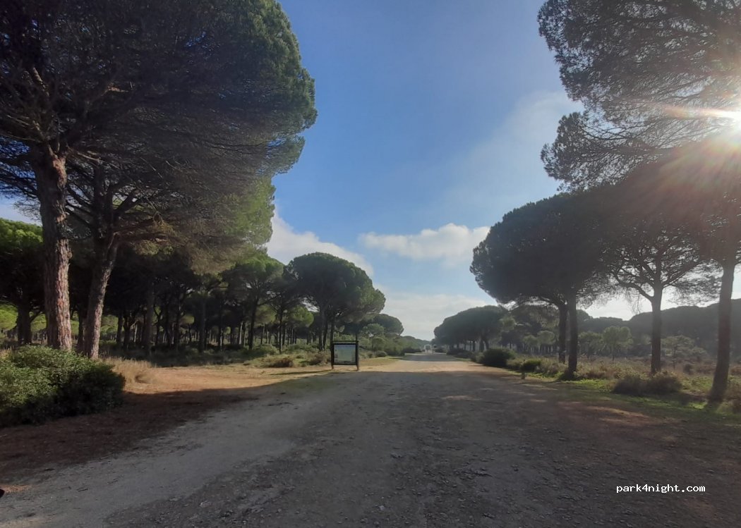 (11130) Chiclana de la Frontera - 1009 Lugar Pago Hoyo de la Espartosa — foto