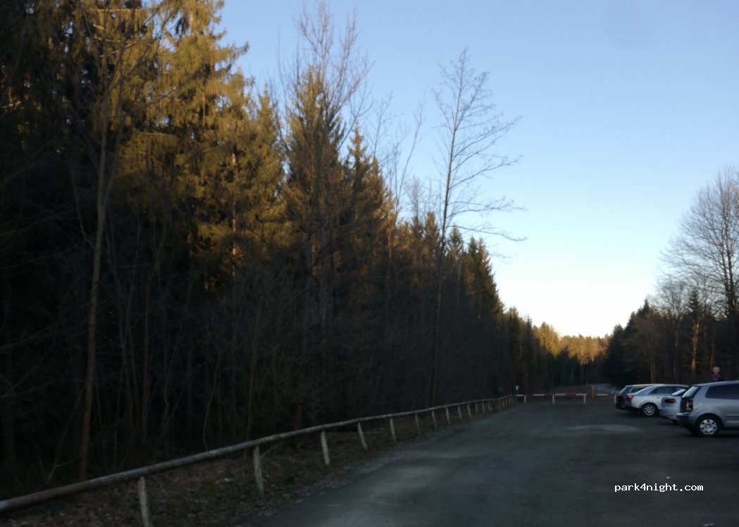 (07987) Mohlsdorf-Teichwolframsdorf - Scheitallee — foto