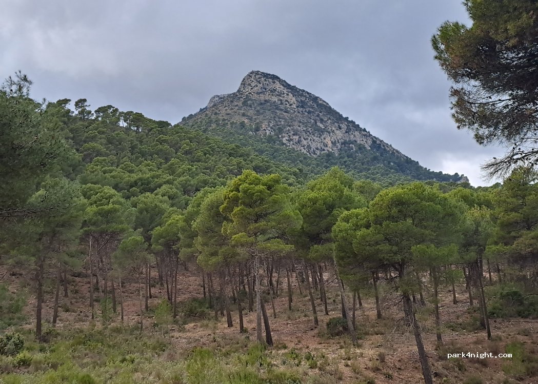Camping Sierra Espuña — foto 4