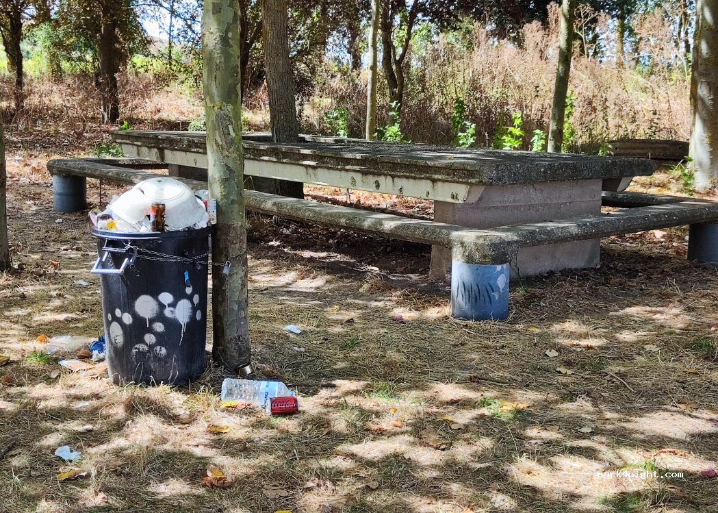 (09219) Santa María Ribarredonda - — foto 5