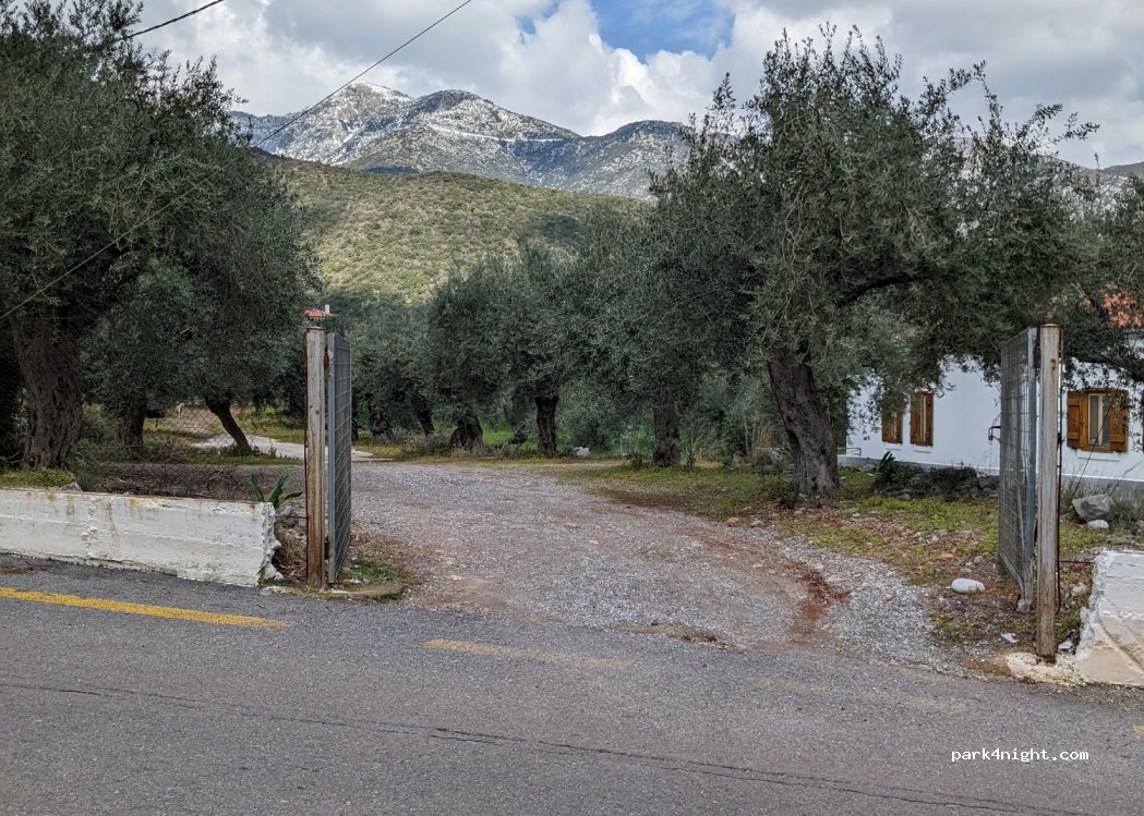(230 52) Paralia - — foto