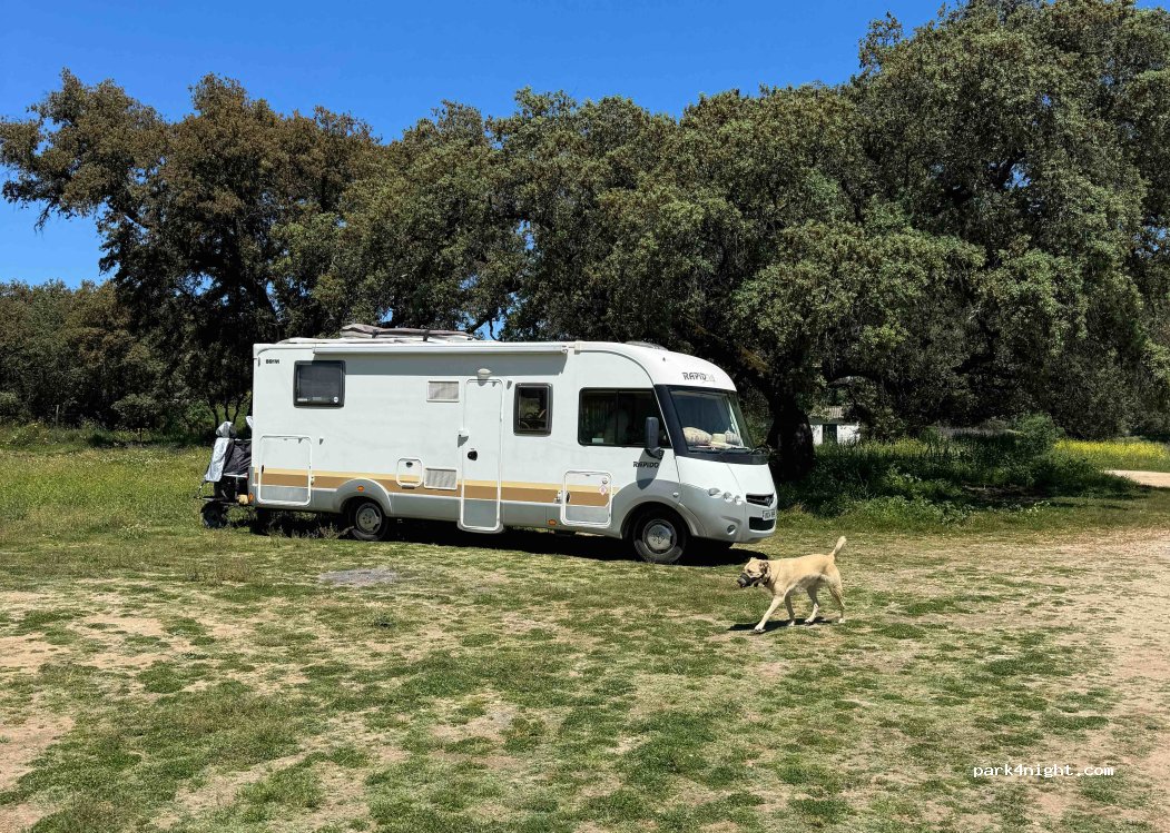 (41250) El Real de la Jara - Camino del Batrocal — foto 3