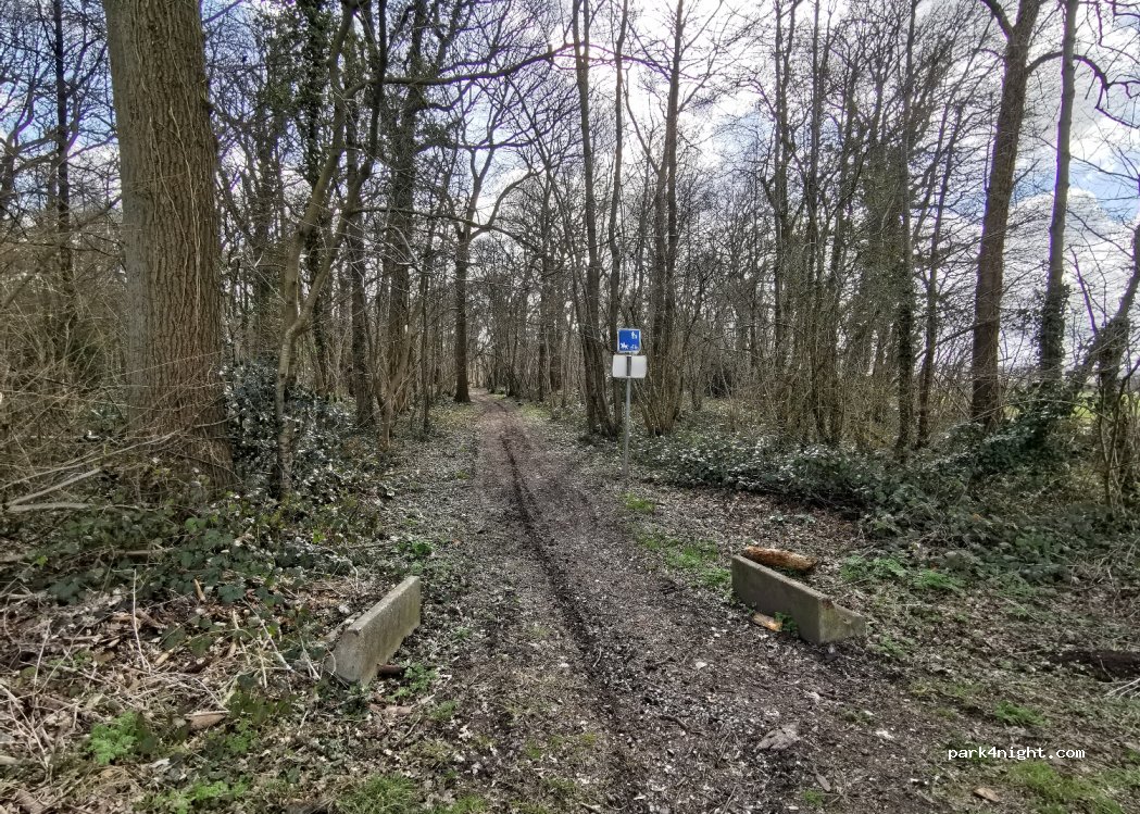 () Mettet - Gros Chene — foto 4