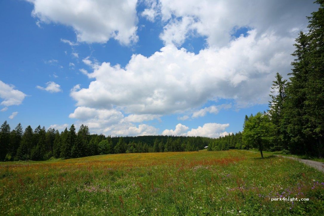 Höhengasthaus Kolmenhof — foto 4
