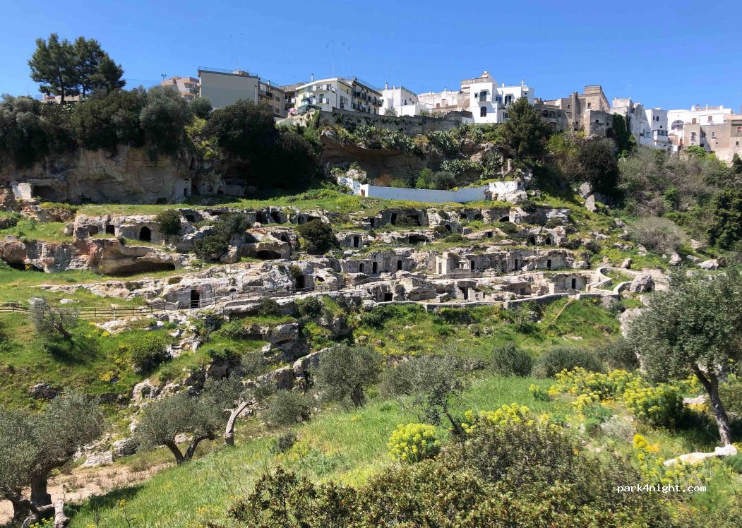 Agricola Natile — foto 2
