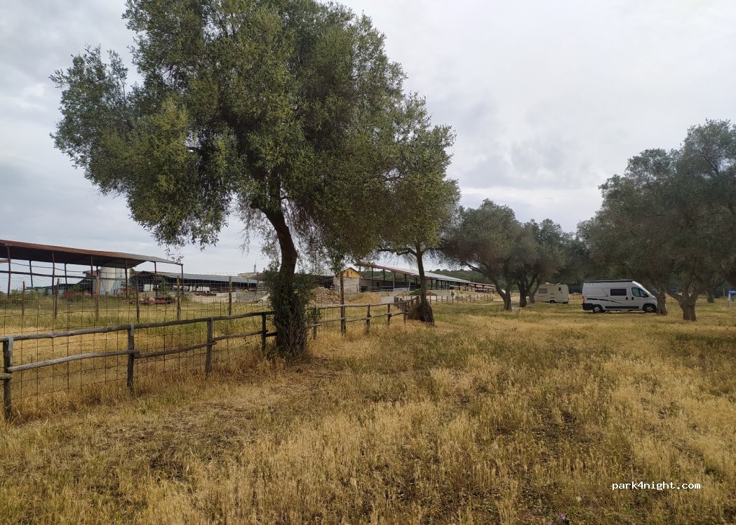 Agricola Natile — foto 4
