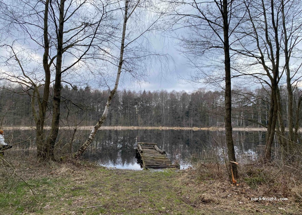(72) Węgorza - — foto