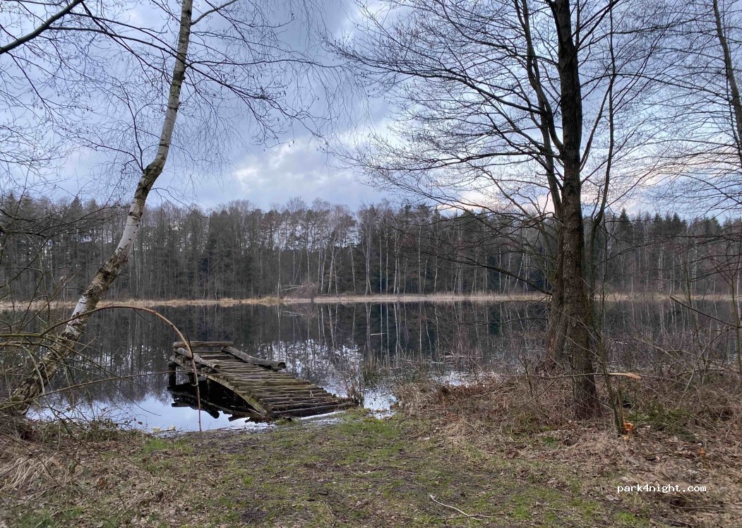 (72) Węgorza - — foto 2