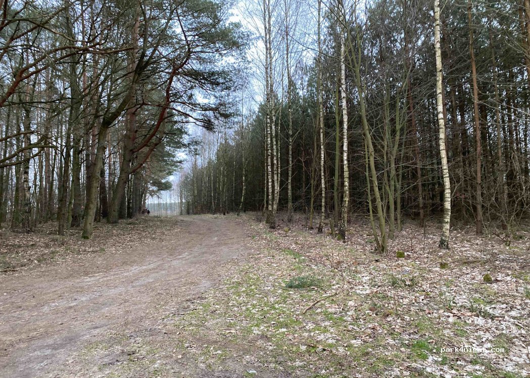(72) Węgorza - — foto 3
