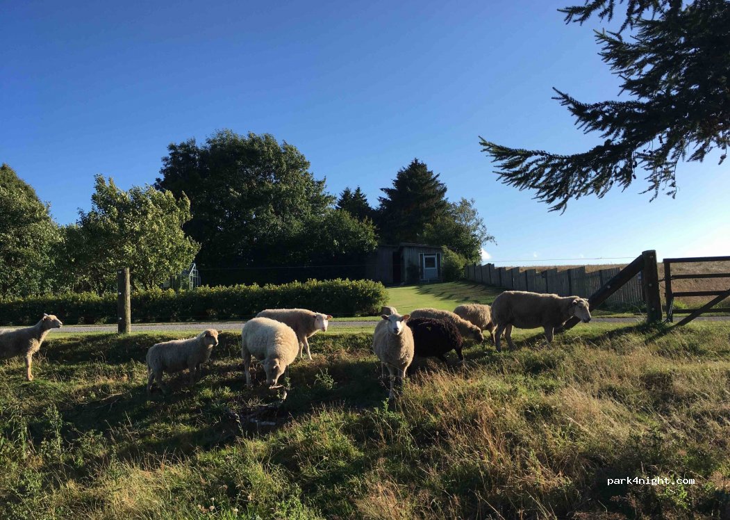 (7400) Herning - 20 Nybyvej — foto