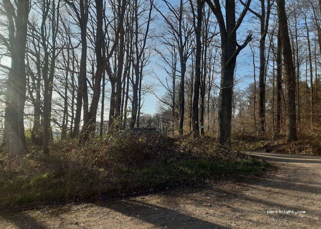 () Huckelheimer Wald - — foto 3