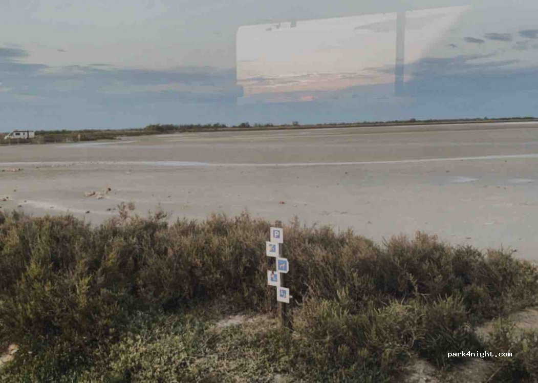 (13460) Arles - Chemin du Fangassier — foto