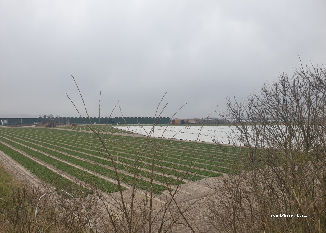 (2182 DB) Hillegom - 75 Veenenburgerlaan — foto 2