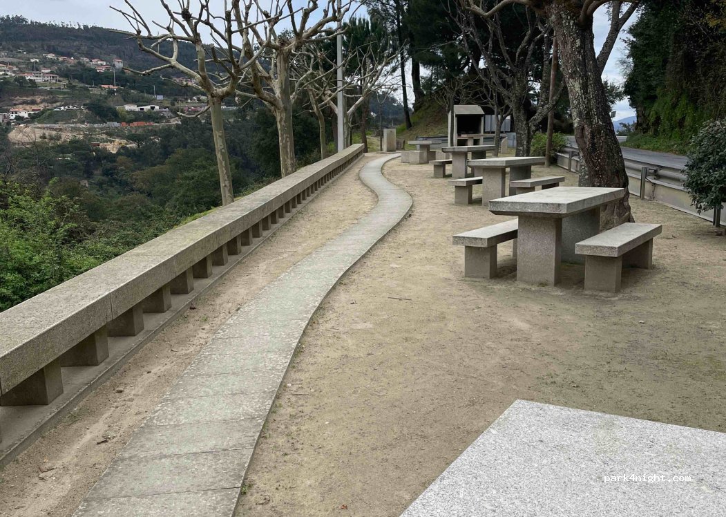 (4690) Oliveira do Douro - N222 — foto