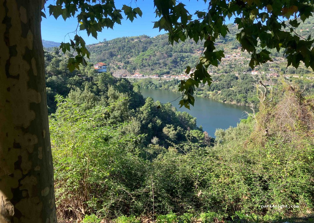 (4690) Oliveira do Douro - N222 — foto 3