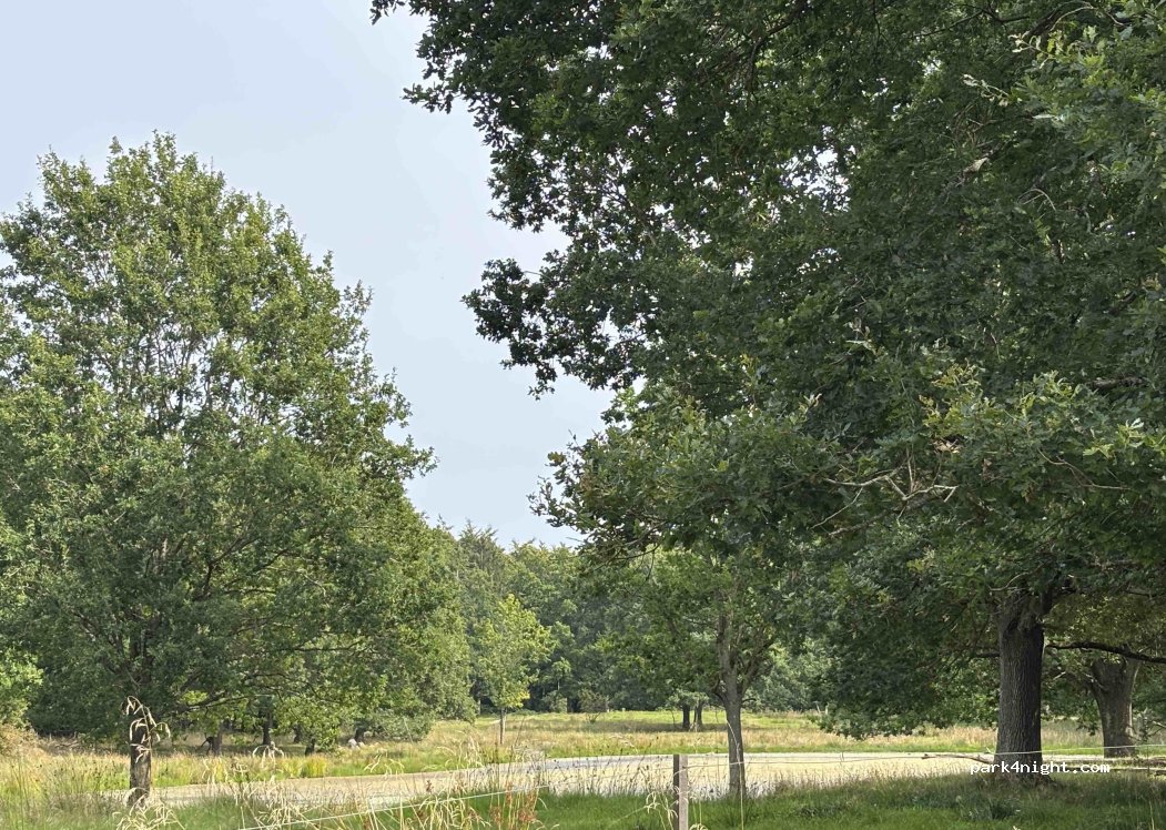 (4500) Nykøbing Sjælland - 237 Egebjergvej — foto 3