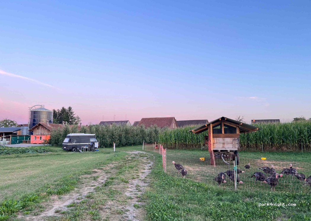 Biohof Stacher — foto 3