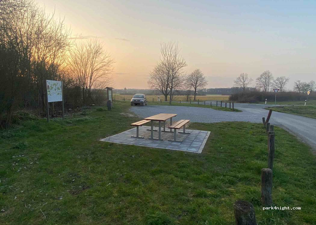 (59394) Nordkirchen - Altefelds Holz — foto 3
