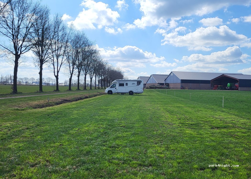 DierenWeelde — foto