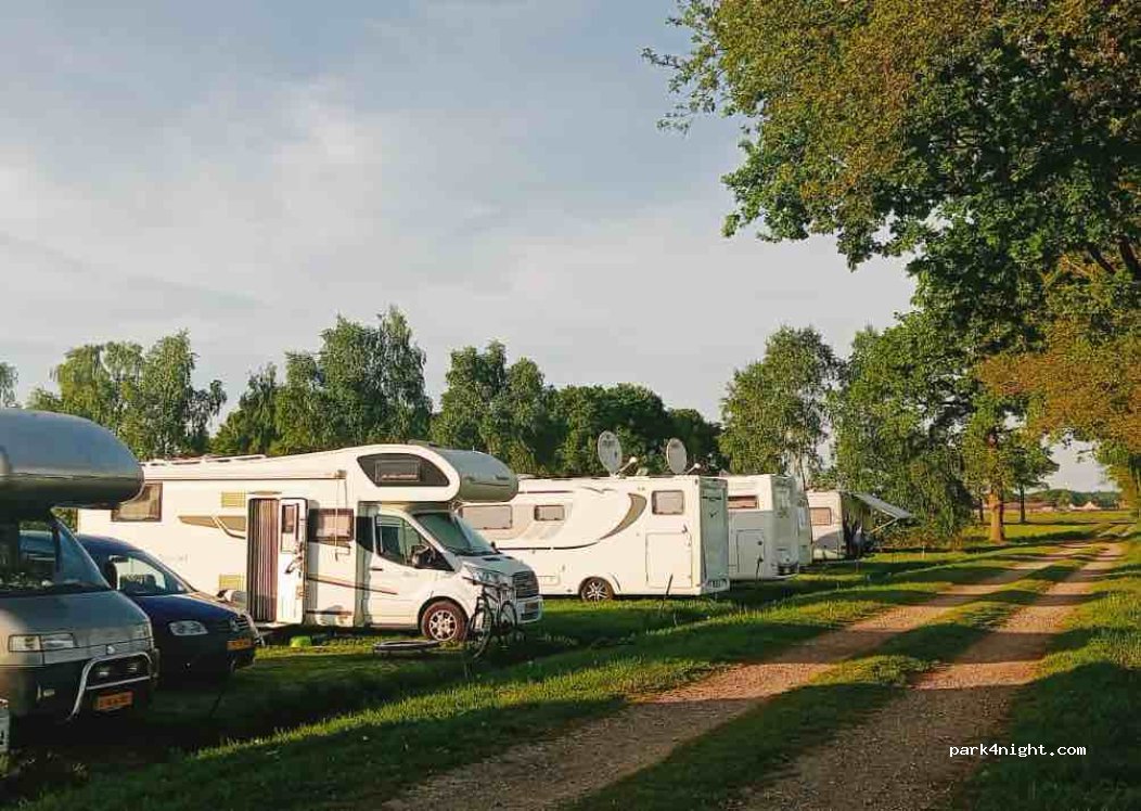 DierenWeelde — foto 2