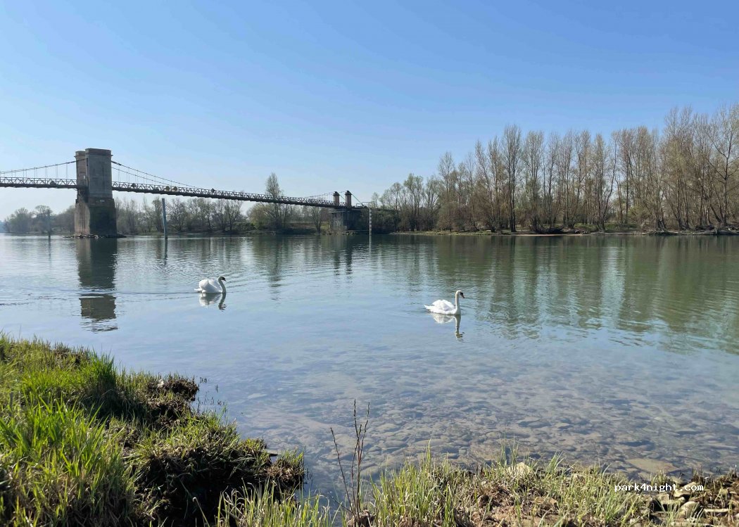 (01090) Montmerle-sur-Saône - 49 Rue de Mâcon — foto 4