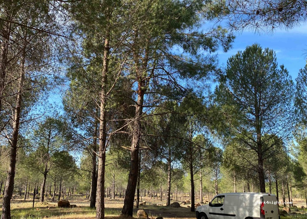 (48804) Muğla - — foto
