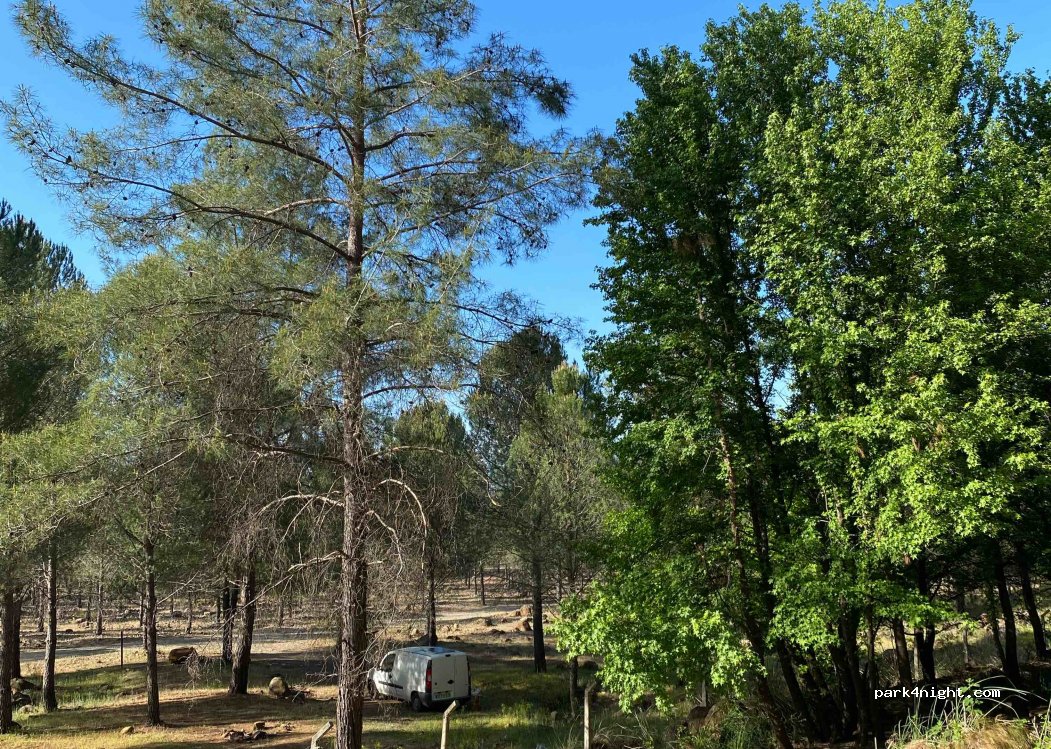(48804) Muğla - — foto 2