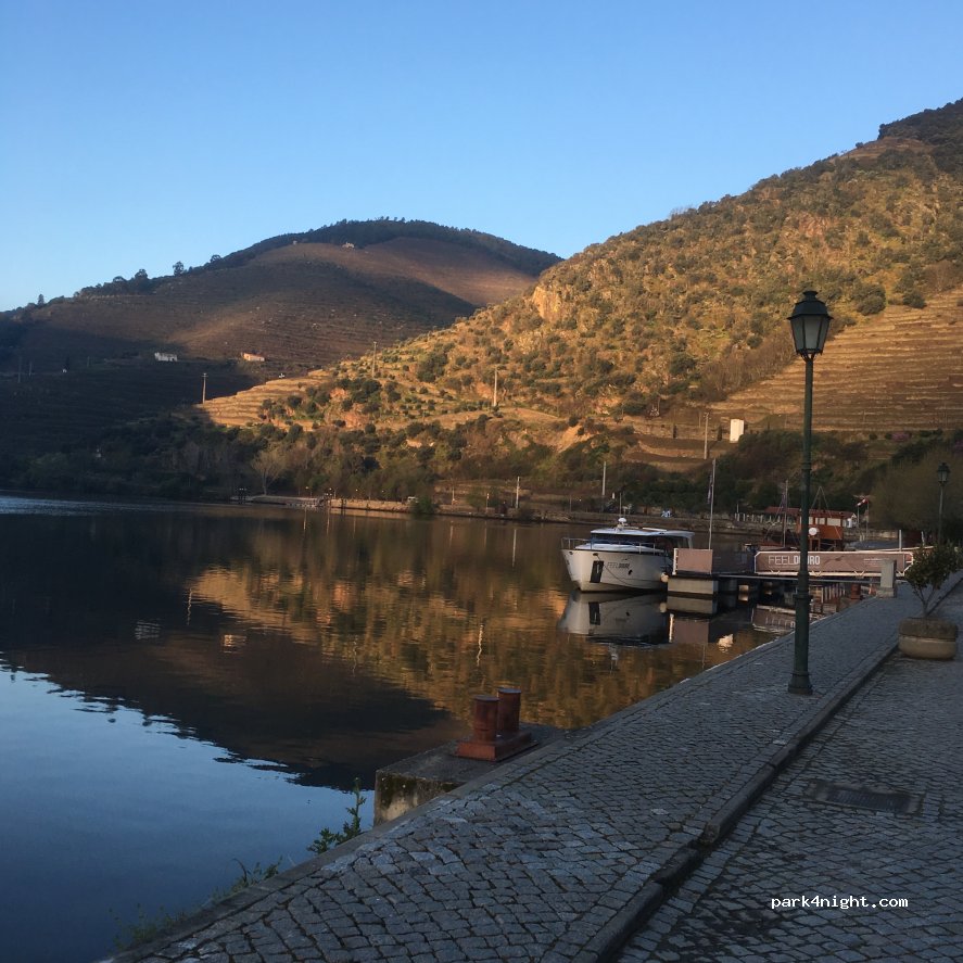 (5085) Pinhão - EM590 — foto