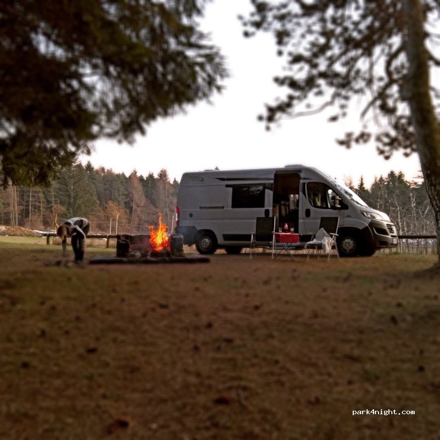 (38010) Dambel - SP24 — foto