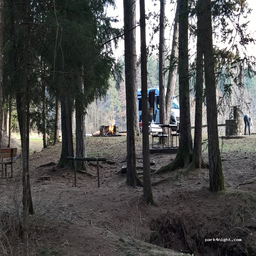 (38010) Dambel - SP24 — foto 2