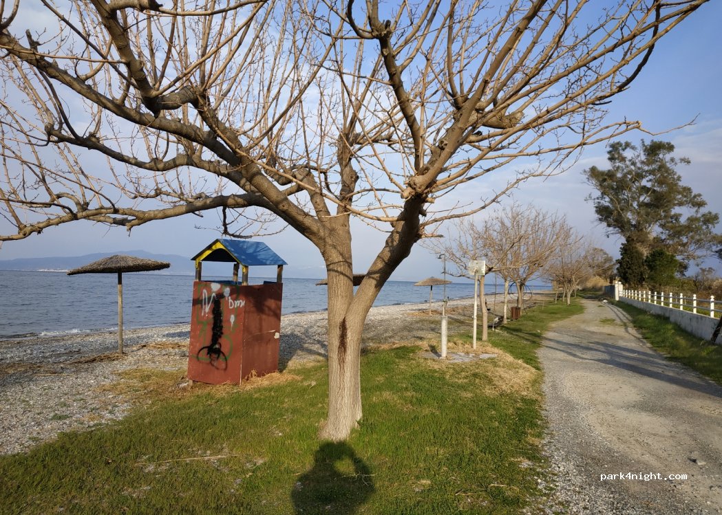(352 00) Loggos - — foto