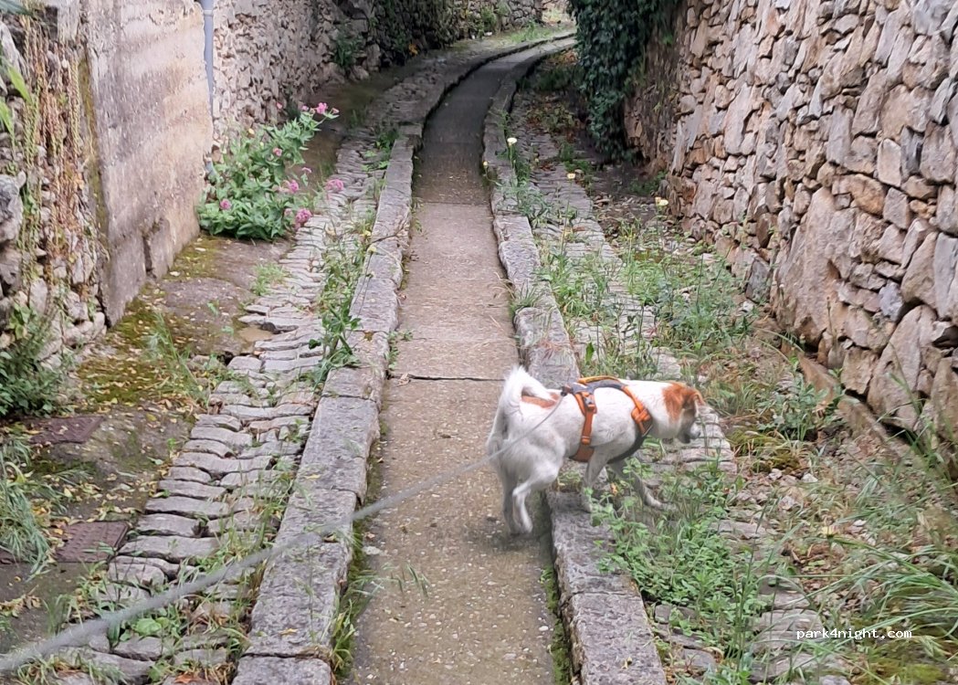 (30260) Corconne - 220 Route de Montpellier — foto 4