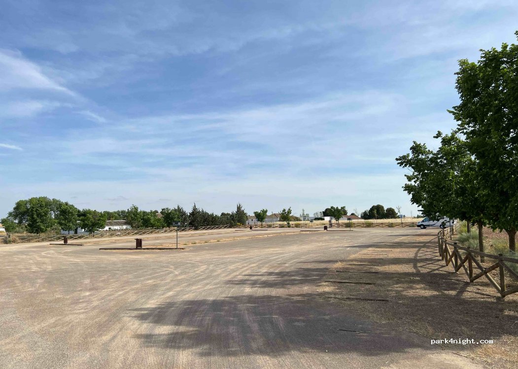 (13250) Daimiel - Carr a las Tablas de Daimiel — foto