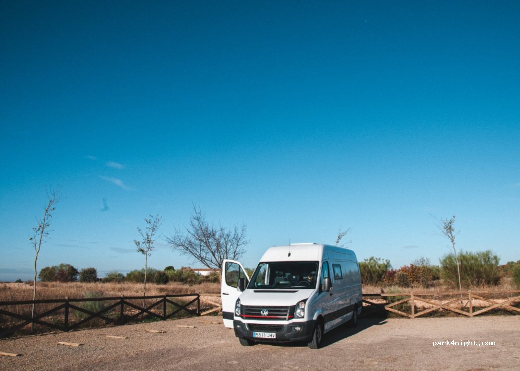 (13250) Daimiel - Carr a las Tablas de Daimiel — foto 3