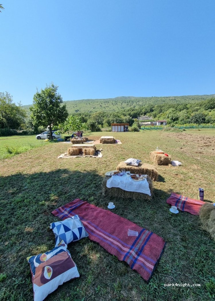 AUTO CAMP MATICA — foto
