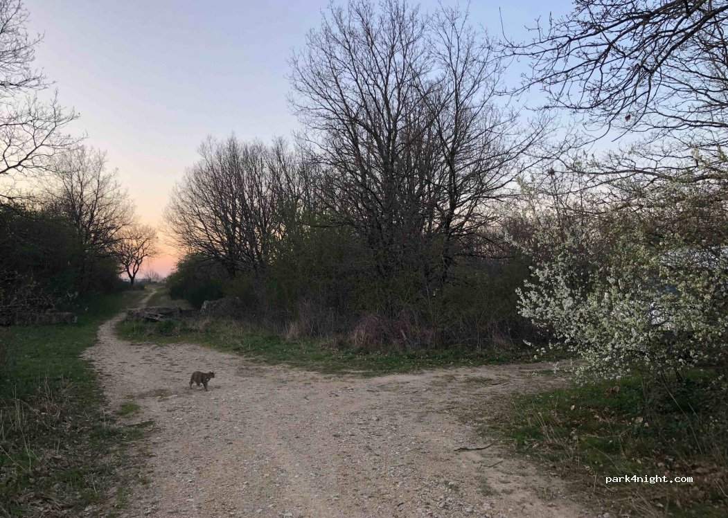 (81500) Giroussens - Unnamed Road — foto