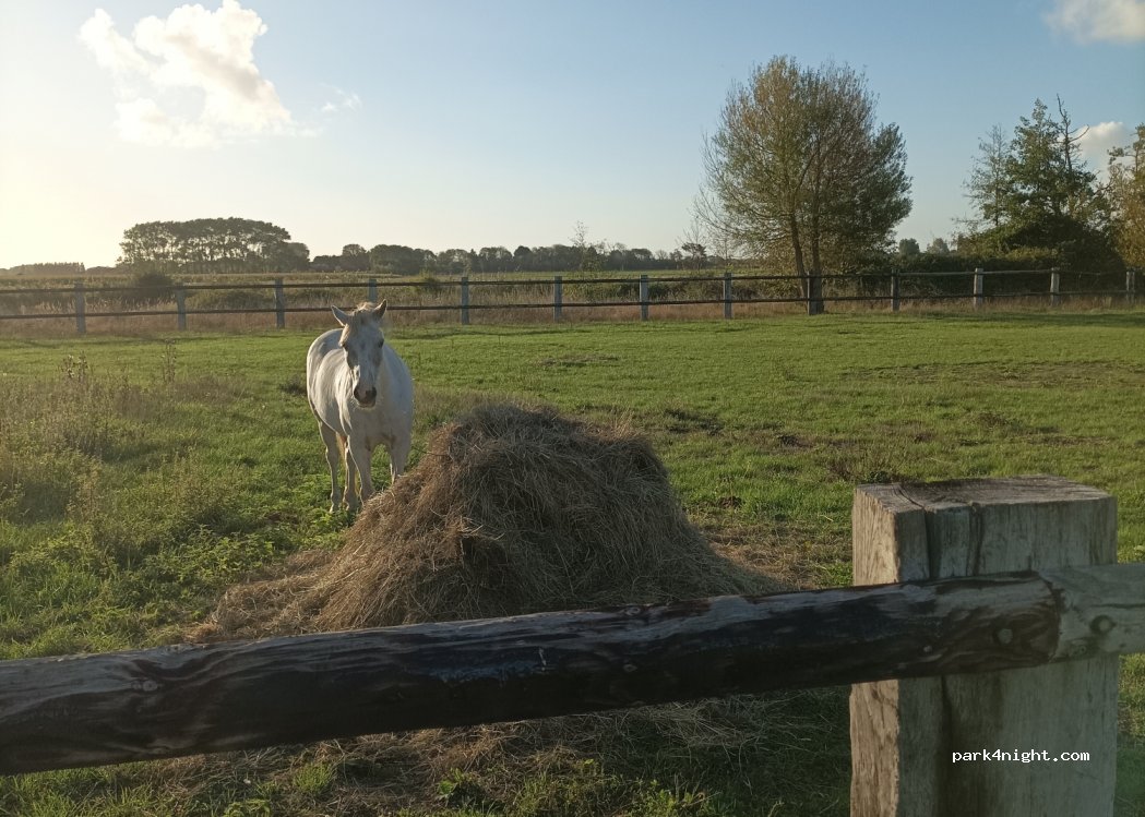 Camping la Haie Penée — foto 2