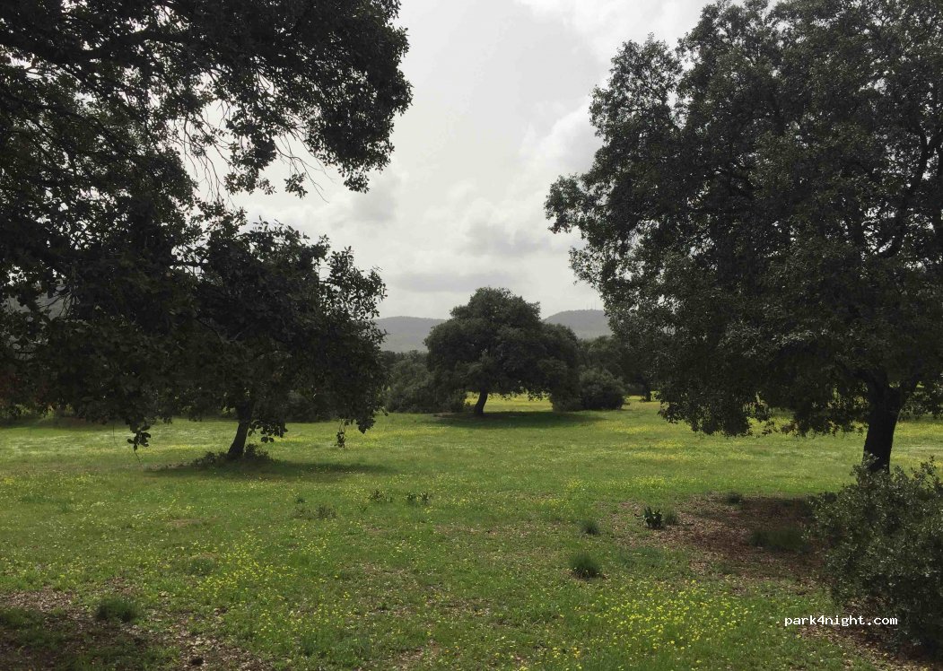 (14230) Villanueva del Rey - — foto