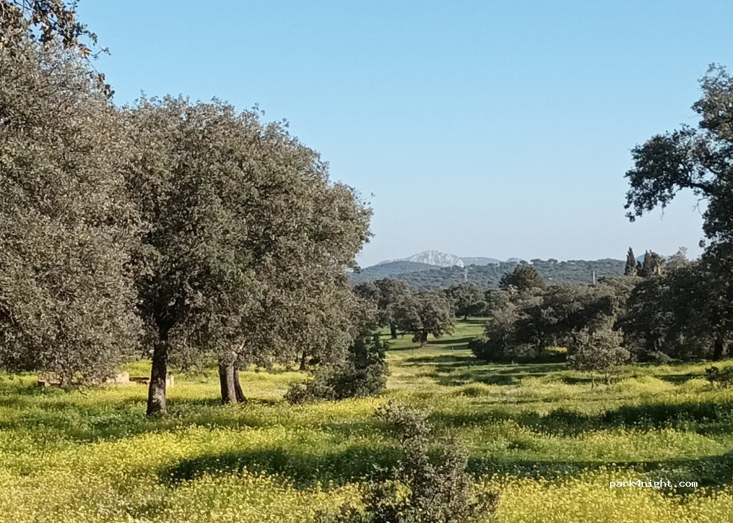 (14230) Villanueva del Rey - — foto 4