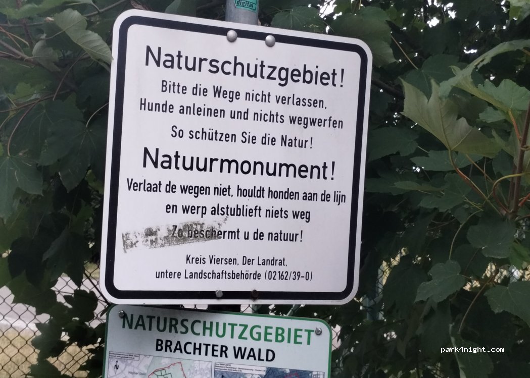 (41379) Brüggen - Holter Heide — foto 2